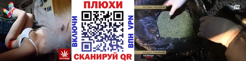 Купить  Вичуга  ГАШИШ VHQ 