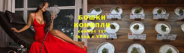 крисы Арсеньев