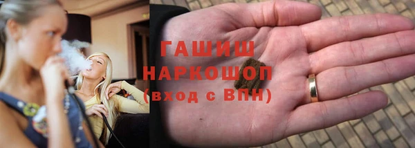 сатива Армянск